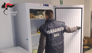 Sequestri, sanzioni e irregolarità nei controlli su ristoranti e bar