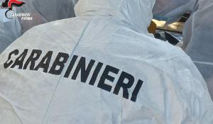 Parma, incastrato il presunto ladro grazie al Dna lasciato sulla scena del crimine