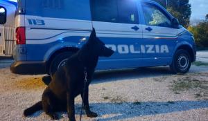 Sicurezza urbana: resoconto dei controlli ordinari e straordinari della settimana