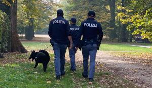 Sicurezza urbana: resoconto dei controlli ordinari e straordinari della settimana