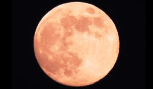 Da stasera e per almeno tre sere lo spettacolo della superluna del lupo