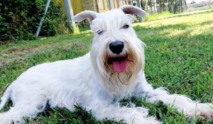 Blanca, dalle gare di bellezza all'adozione di una famiglia