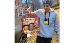 I volontari salvano un coniglio in piazzale Volta: si aggirava spaventato dai botti - Foto