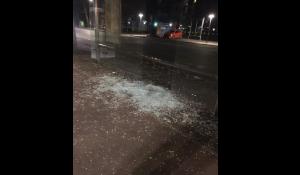 Pensilina di via Caprera in frantumi, il Team Vannacci: "Citt&agrave; in movimento? Gli unici che si muovono sono i delinquenti"