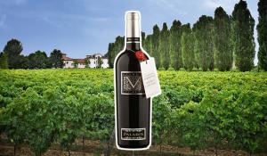 Paladin Malbech gli Aceri IGP Veneto '21: Malbech in purezza, frutti rossi al naso, dal sorso vellutato