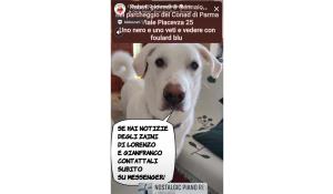 Furto in viale Piacenza, si cercano ancora gli zaini dell&rsquo;amico dei cani