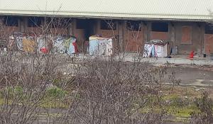 Ex scalo merci viale Fratti, residenti esasperati - Foto