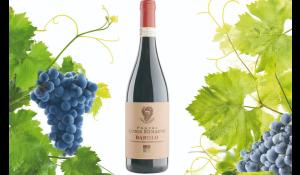 Pierre Andr&eacute; Pommard 2018, un bel rosso rubino, frutta matura al naso e vellutato al sorso