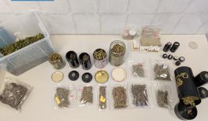 Fiori, piante e...marijuana: smantellato a Colorno il "laboratorio della droga" di un vivaista