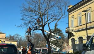 Potature, code in viale Vittoria - Le foto