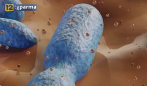 INTOSSICAZIONE DA BOTULINO, UNA 42ENNE IN RIANIMAZIONE