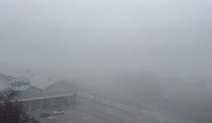 Nebbia Parma