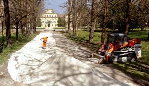 Parco Ducale "lavori in corso": percorsi riqualificati, 36 nuovi alberi e maggiore fruibilit&agrave;