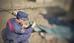 Fattoria degli orrori, numeri choc: ritrovate quaranta carcasse di animali