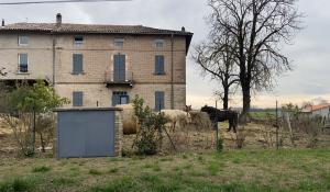 &laquo;Qualcuno voleva sabotare la struttura&raquo;