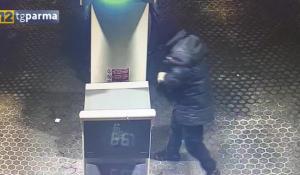 Ladri scatenati: colpiti la pizzeria Cittadella e un'area di servizio 