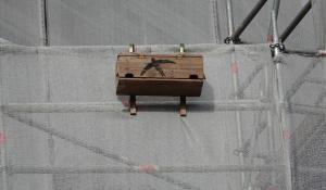 "Il cantiere della chiesa della Steccata &egrave; amico dei rondoni" - Foto 