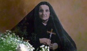 Via Adorni, la &laquo;damigella&raquo; dello Stradone