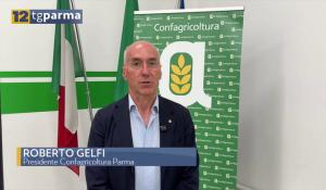 Confagricoltura Parma, Roberto Gelfi confermato alla presidenza 