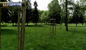 Verde pubblico a Parma: 1.800 nuovi alberi e 585 giochi per bambini nel 2025