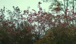 Deva Cassel, debutto al cinema da ragazza libera