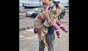 Stromboli, pescatore trova capretto con fratture e lo adotta