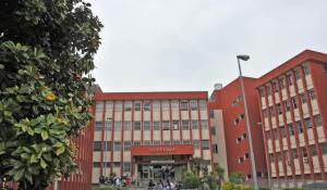 Bimbo di 13 mesi azzannato dal pitbull di casa, non &egrave; in pericolo di vita