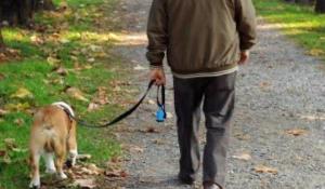 Cane intossicato dalla droga a Zibello