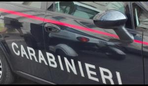 Lascia il cane nel suo Suv e va a sciare: denunciato un turista