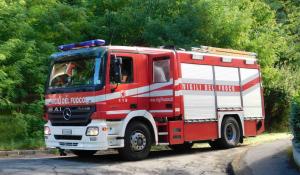 Nidi di calabroni, 20 interventi dei vigili del fuoco tra Parma e provincia