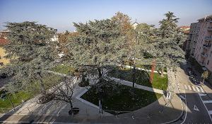 Cadono in viale Piacenza e piazzale Pablo: due donne al Maggiore