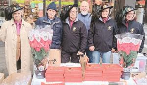 Tornano le «Stelle di Natale Ail», simbolo di solidarietà e speranza