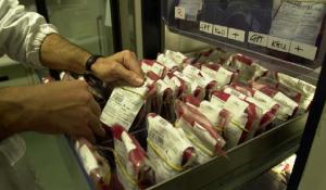 Corsa al plasma, sprint di Parma. Più 25% di raccolta nel 2025