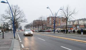 Il volontario in viale Piacenza: &laquo;Mi hanno rubato gli zaini con soldi e oggetti cari mentre consegnavo un cane disabile per un'adozione&raquo;