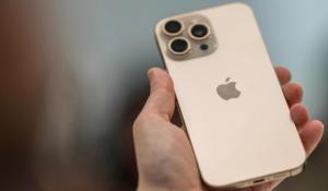 Scippa il telefonino a un giardiniere del Duc: condannato