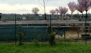 Blitz nella fattoria lager: animali morti, denutriti e maltrattati