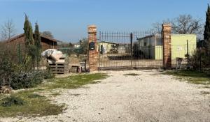 Fattoria degli orrori a Parma, Meo: &laquo;I cani vittime di estrema crudelt&agrave;&raquo;. Gialdi: &laquo;Quanti animali morti?&raquo;