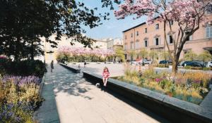 KilometroVerde ridisegna piazzale Borri: in arrivo nuovi giochi e piante anti-caldo