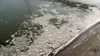 Ponte Verdi, sversamento di liquami nel Po: indagini in corso - Foto