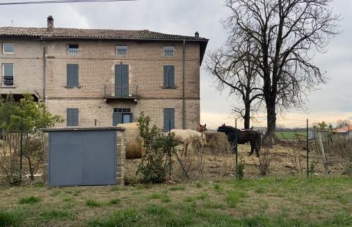 &ldquo;Fattoria degli orrori&rdquo; nel parmense: l&rsquo;associazione annuncia querela e chiede trasparenza sulla gestione degli equidi sequestrati