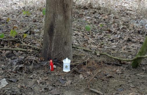 Resti umani, due &laquo;lumini&raquo; nel luogo del ritrovamento