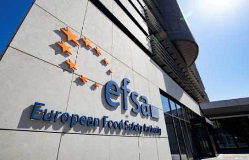 Guerra e antiterrorismo, timori anche a Parma: occhi puntati sull'Efsa, la sinagoga e altri &laquo;obiettivi sensibili&raquo;