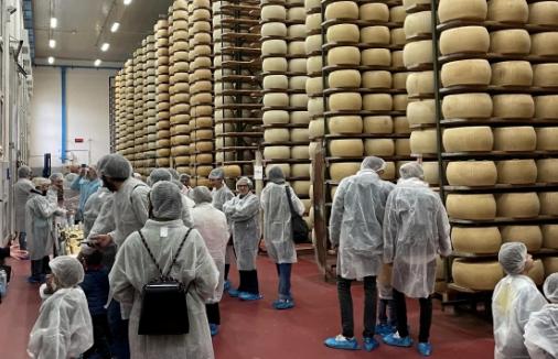 Il Parmigiano Reggiano punta sulle visite nei caseifici: al via il &laquo;Progetto Turismo&raquo;