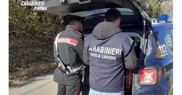 https://www.gazzettadiparma.it/resizer/600/315/true/2025_11_02/cc_lavoro-1762073265031.jpg--controlli_straordinari_in_materia_di_sicurezza_sui_luoghi_di_lavoro__riscontrate_violazioni_e_comminate_sanzioni_.jpg?1762073265120