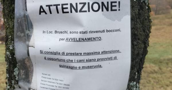 https://www.gazzettadiparma.it/resizer/600/315/true/2025_12_03/1-1764760915533.jpeg--bocconi_avvelenati_a_varsi__in_localita_bruschi___foto.jpeg?1764760915552