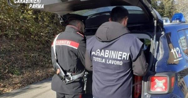 https://www.gazzettadiparma.it/resizer/600/315/true/2025_12_30/carabinieri30_12-1767088025877.jpg--aveva_due_dipendenti__in_nero___commerciante_di_salsomaggiore_denunciato__multe_per_oltre_12mila_euro.jpg?1767088025926