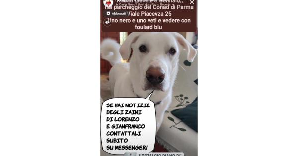 https://www.gazzettadiparma.it/resizer/600/315/true/2026_01_16/furto_zaino-1768571604806.jpg--furto_in_viale_piacenza__si_cercano_ancora_gli_zaini_dell_amico_dei_cani.jpg?1768571604881