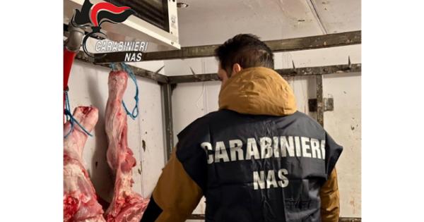 https://www.gazzettadiparma.it/resizer/600/315/true/2026_01_21/cc_nas-1768985152841.jpg--sequestrata_una_tonnellata_e_mezza_di_carne_irregolare_e_sospeso_un_laboratorio_di_produzione.jpg?1768985152881