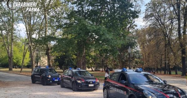 https://www.gazzettadiparma.it/resizer/600/315/true/2026_04_03/03.04.2026_Parma_foto_x_arresto_al_Parco_Ducale-1775206535388.jpg--parma__spaccia_droga_vicino_all_area_giochi_dei_bambini_all_interno_del_parco_ducale__arrestato_24enne_straniero.jpg?1775206535413