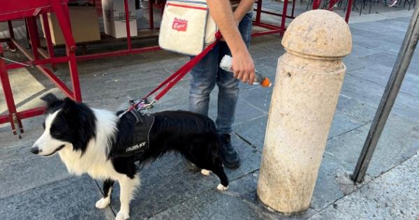 Bottiglia Per Pulire Pipì Cane - 400 Ml, Silicone, Con Tappo Antigoccia E Accessori, Grigio - Foto 5